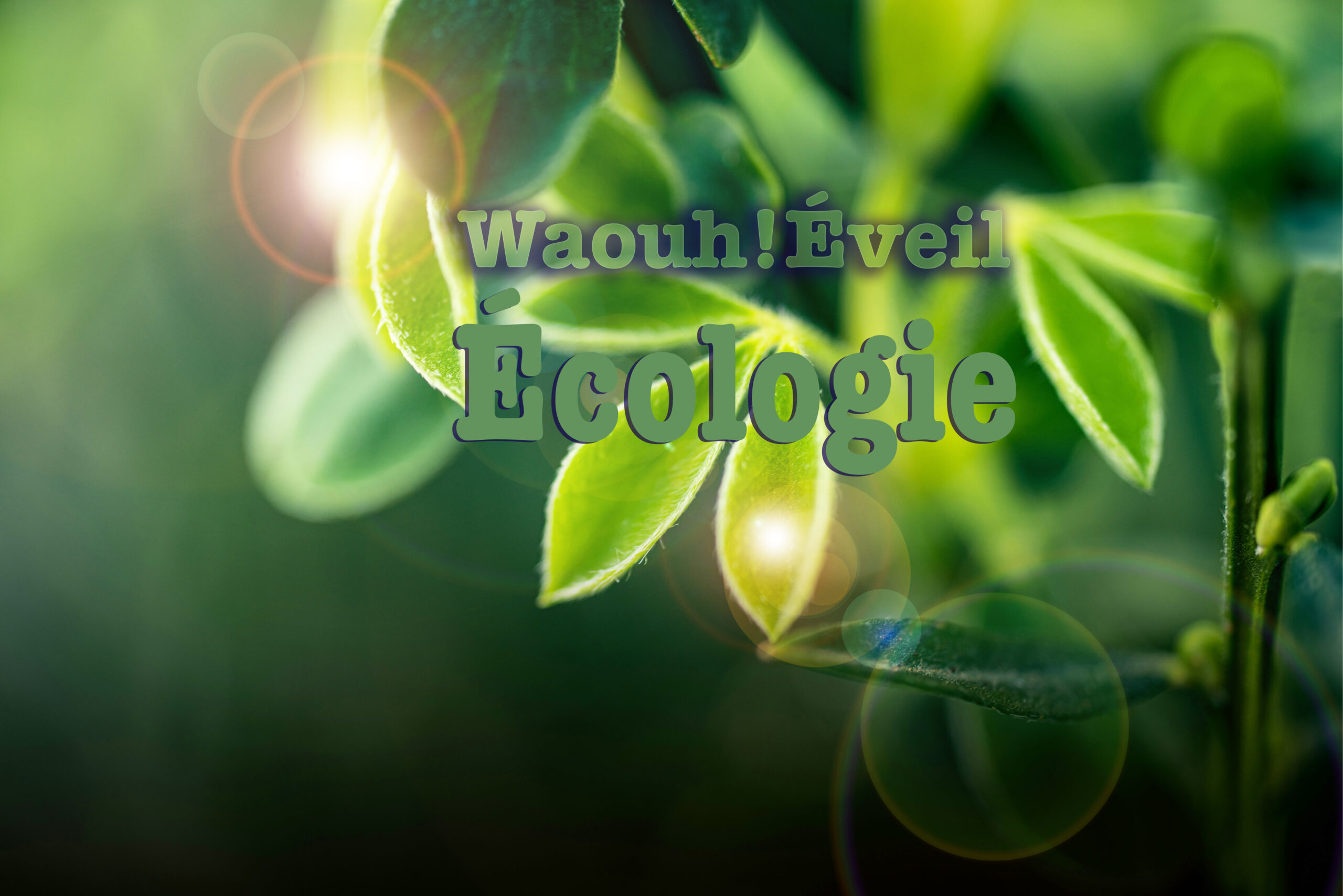Logo Waouh éveil écologie