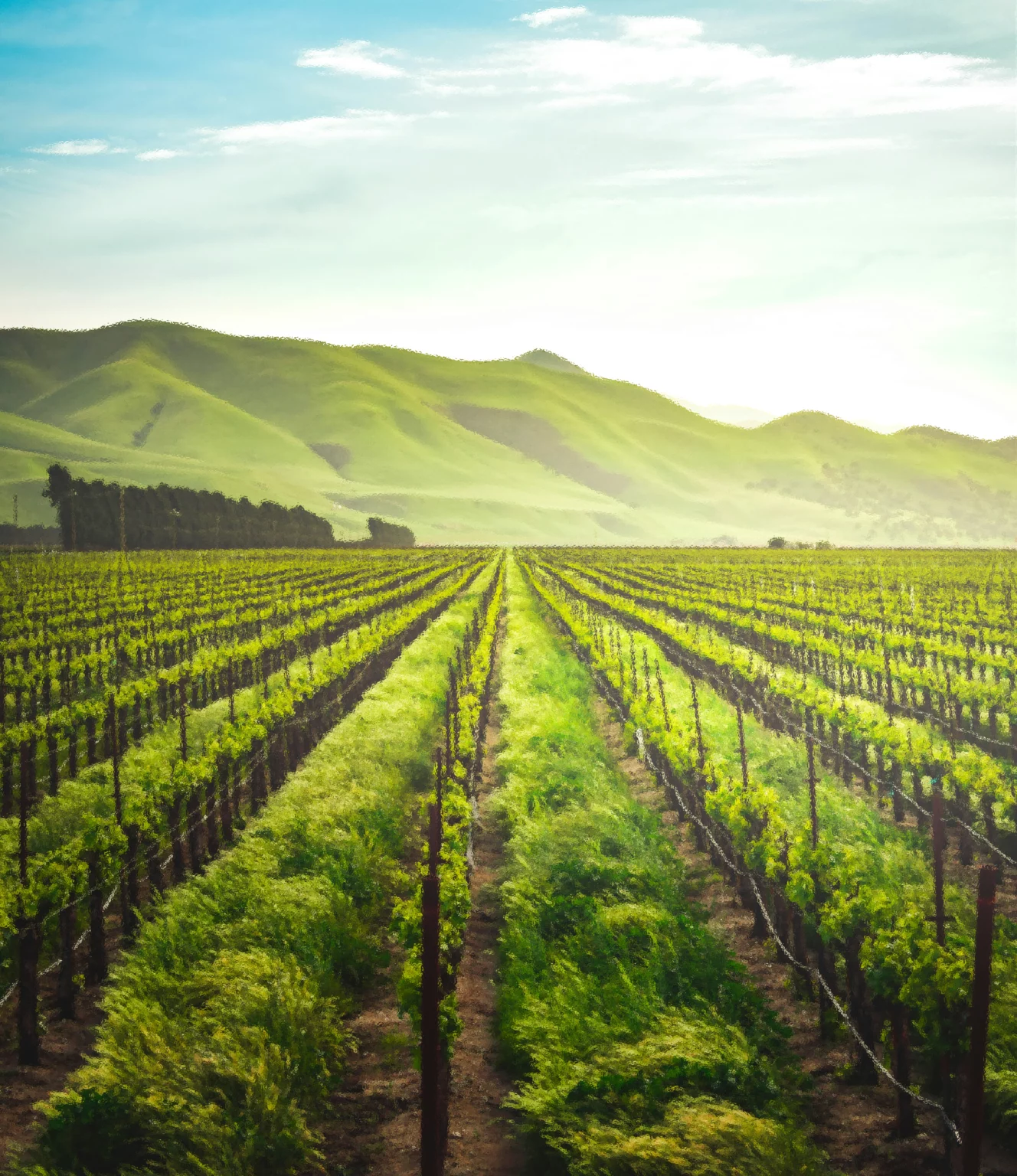 agriculture biologique