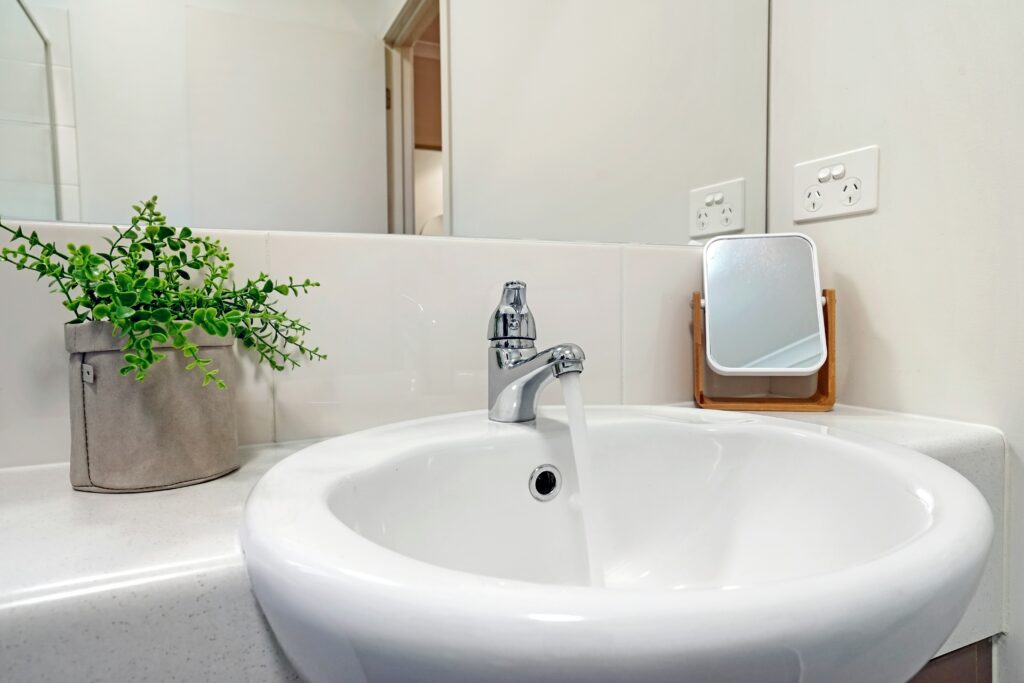 Salle de bain sans plastique plante